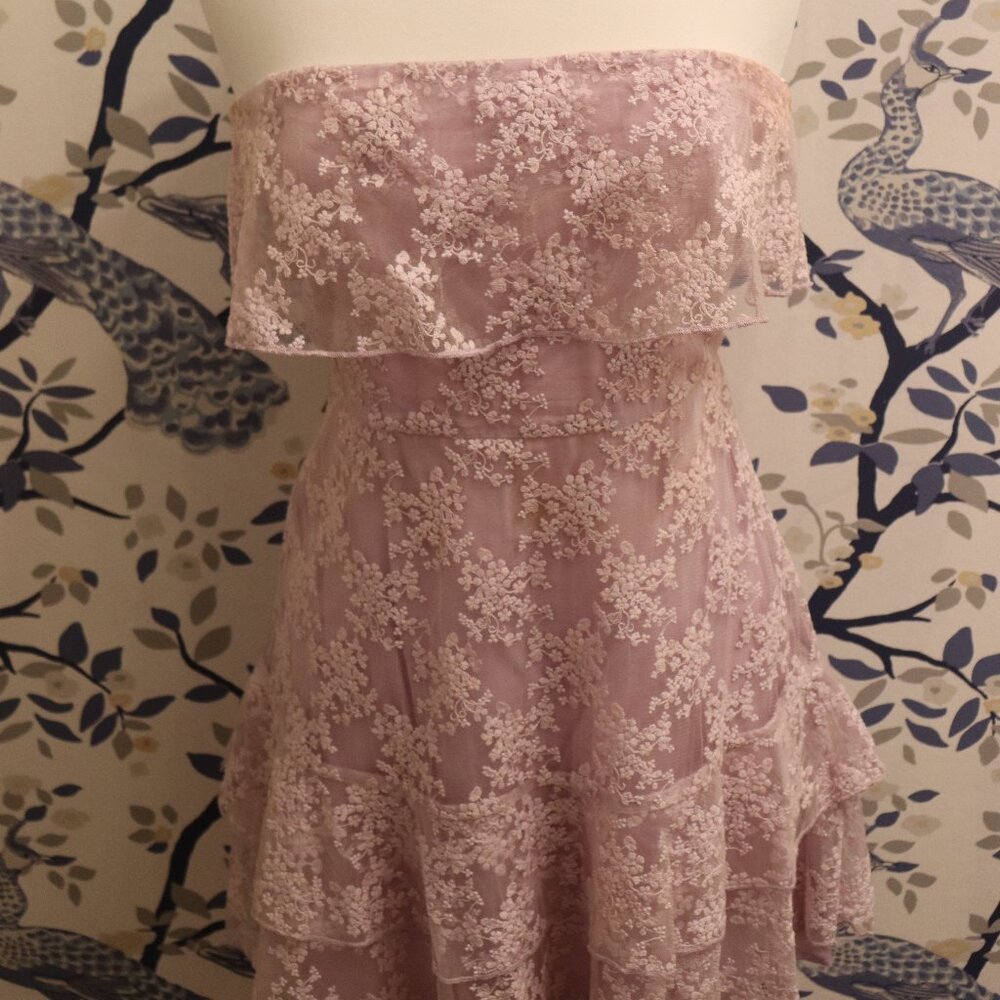 Fanco Strapless Lace Dress in Lavender